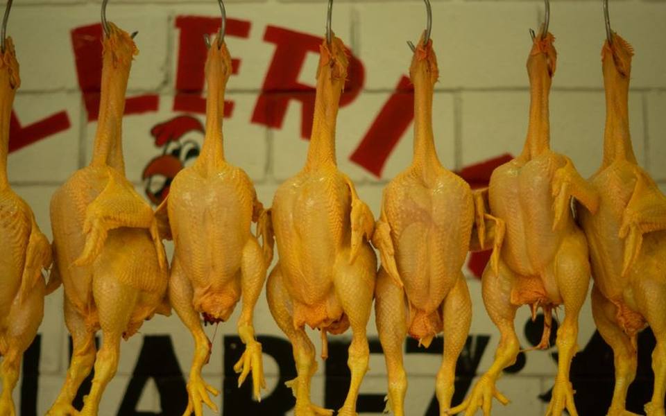 Comparing Cornish Hens, Guinea, and Standard Roasters