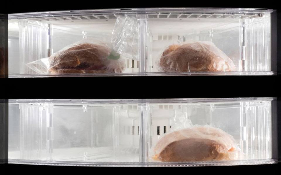 Safe Storage Practices and Maximizing Freshness at Home