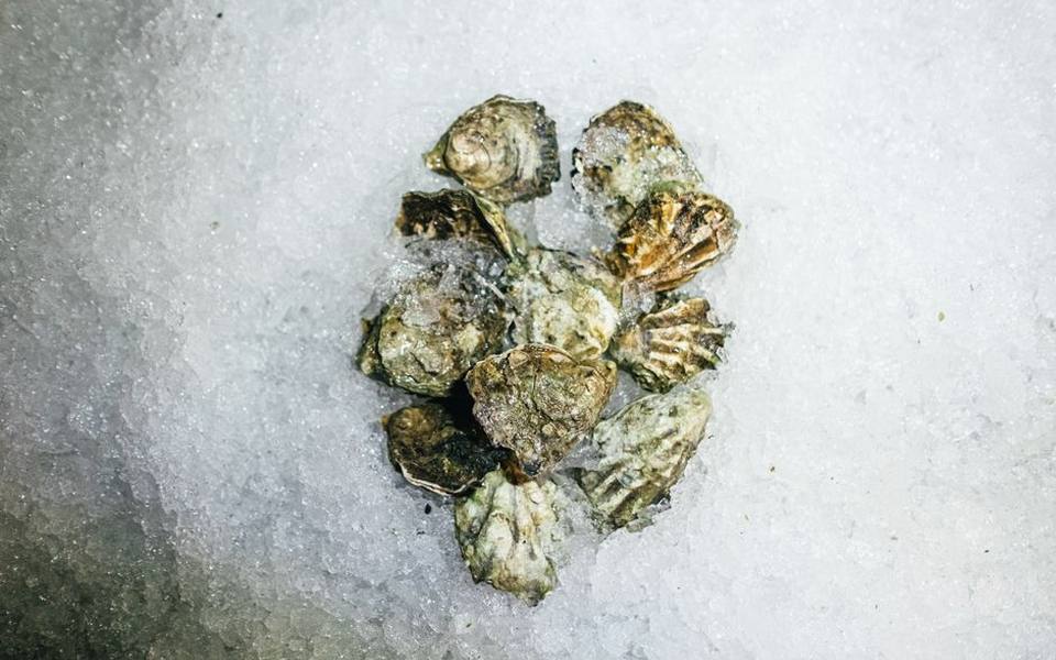 Regional Delicacies and Rocky Mountain Oysters