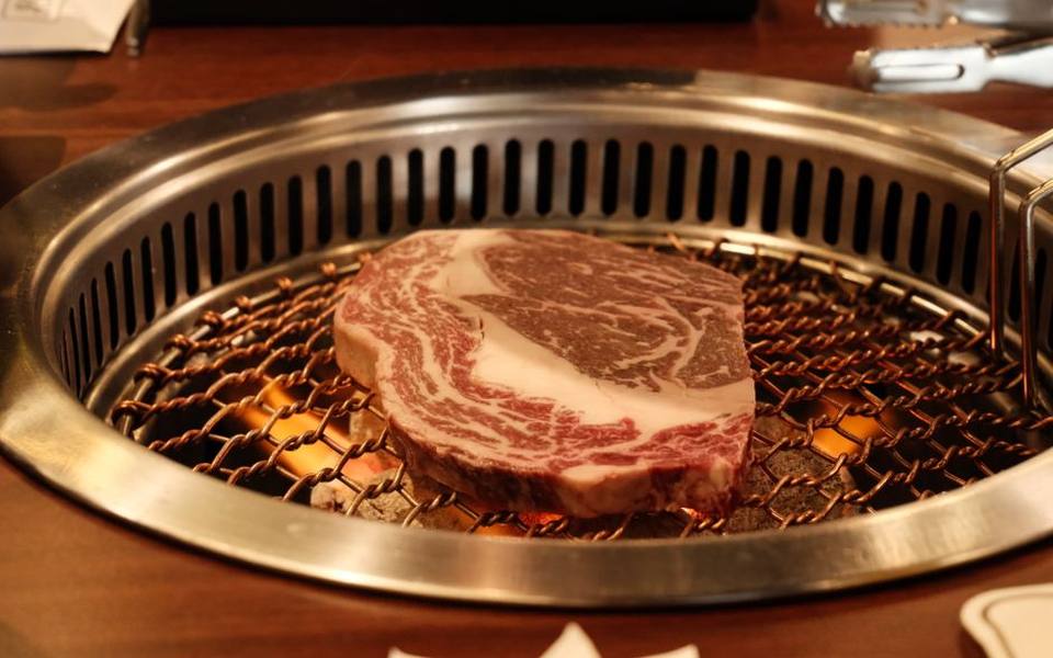 Anatomy, Marbling, and Fat Distribution